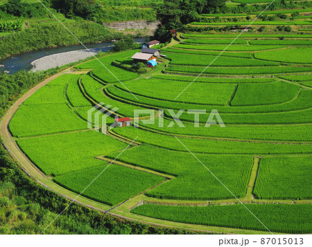和歌山県・有田川町・夏のあらぎ島 和歌山県・有田川町・夏のあらぎ島 87015013