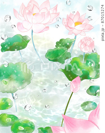 蓮の花背景 87015274