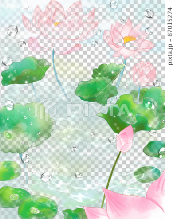 蓮の花背景 87015274