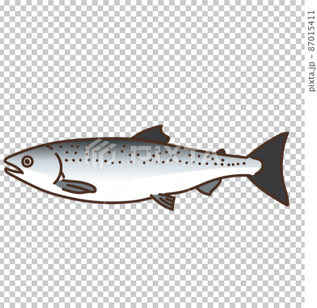 Illustration of sea creatures, marine products, salmon Illustration of sea creatures, marine products, salmon 87015411