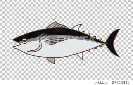 海の生き物　イラスト　水産物　マグロ 87015412