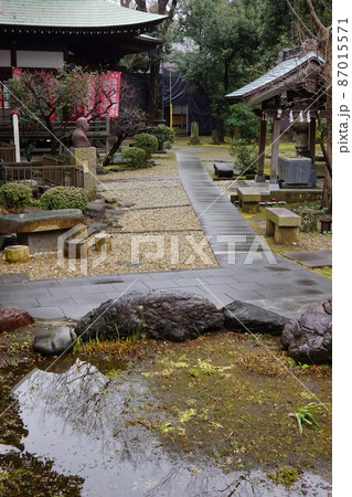 神奈川県川崎市の常楽寺の風景 87015571