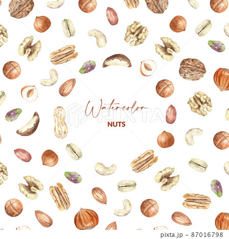 Nuts in round border. Raw pecan, walnut, almond, pistachio, peanut, macadamia, hazelnut and cashew. Hand drawn watercolor illustration of organic food for packaging, label, card. Nuts in round border. Raw pecan, walnut, almond, pistachio, peanut, macadamia, hazelnut and cashew. Hand drawn watercolor illustration of organic food for packaging, label, card. 87016798