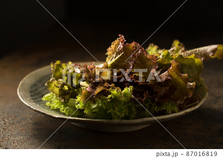 Delicious Salad with Anthocyanin 87016819