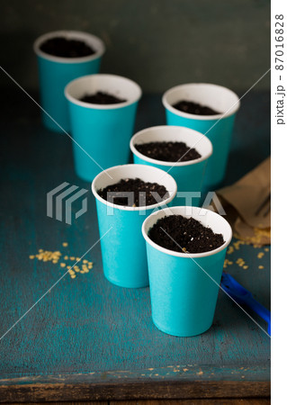 Garden still life with pepper seeds Garden still life with pepper seeds 87016828