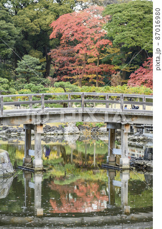 浜離宮恩賜公園 潮入りの池を渡るお伝い橋 東京都中央区 浜離宮恩賜公園 潮入りの池を渡るお伝い橋 東京都中央区 87016980
