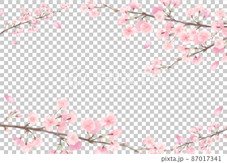 Watercolor style cherry blossom frame Watercolor style cherry blossom frame 87017341