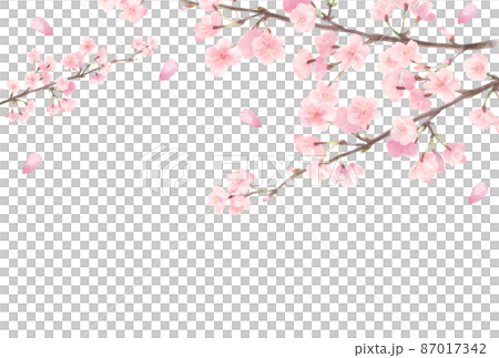 Watercolor style cherry blossom frame 2 Watercolor style cherry blossom frame 2 87017342