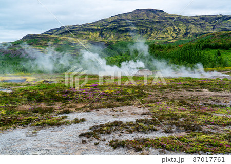 View of steaming fumarole in the field at Haukadalur geothermal area. View of steaming fumarole in the field at Haukadalur geothermal area. 87017761