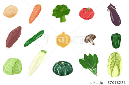 八百屋やスーパーでよく見かける野菜 87018221