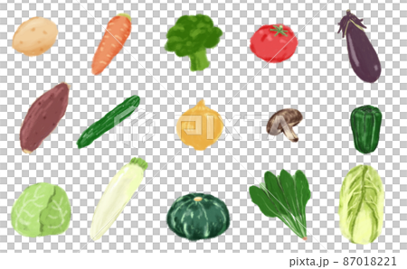 八百屋やスーパーでよく見かける野菜 87018221