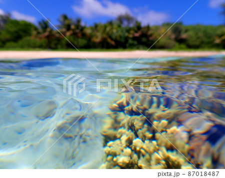 サイパン・オブジャンビーチの水中風景 サイパン・オブジャンビーチの水中風景 87018487
