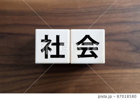 社会 社会 87018580