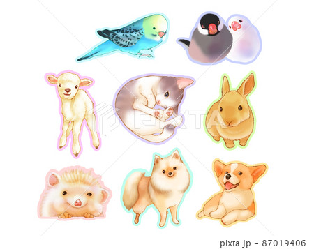 かわいい動物アイコンセット(白背景) かわいい動物アイコンセット(白背景) 87019406