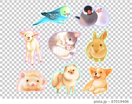 かわいい動物アイコンセット(白背景) かわいい動物アイコンセット(白背景) 87019406