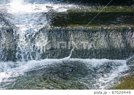 久地円筒分水につながる水門（神奈川県川崎市高津区久地） 87020449