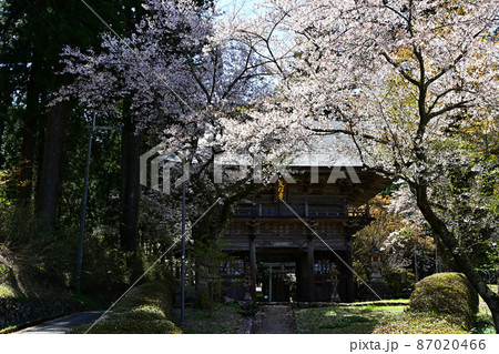 文保寺より 87020466