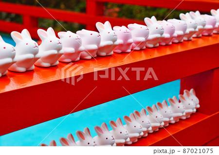岡﨑神社のうさぎみくじ(京都) 岡﨑神社のうさぎみくじ(京都) 87021075