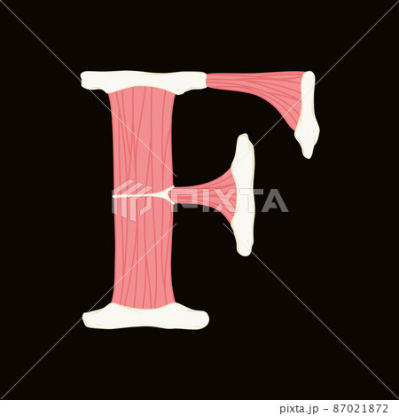 Vector muscle letter.Art font.のイラスト素材 [87021872] - PIXTA