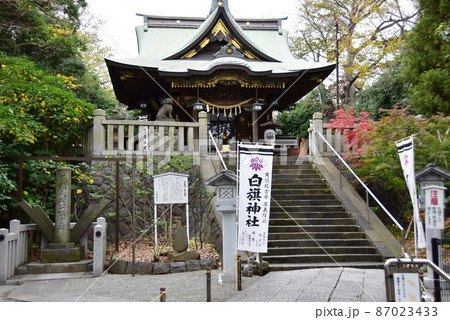 神奈川県藤沢市　白旗神社本殿と源義経公鎮霊碑 87023433