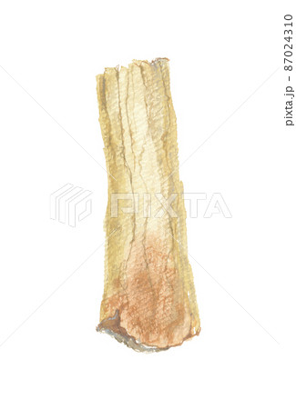 竜骨 リュウコツ 竜骨 リュウコツ 87024310