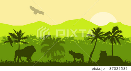 Jungle forest vector silhouette, green tropical nature background, amazon rainforest panoramic landscape. Wild fauna illustration, lion, monkey, toucan, parrot. Jungle silhouette banner EPS Jungle forest vector silhouette, green tropical nature background, amazon rainforest panoramic landscape. Wild fauna illustration, lion, monkey, toucan, parrot. Jungle silhouette banner EPS 87025585