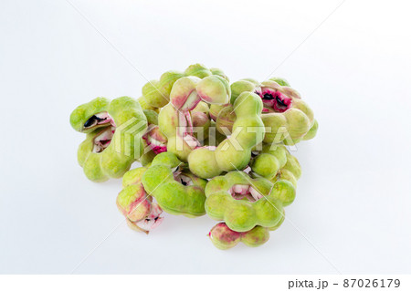 Manila tamarind fruit. Manila tamarind (Pithecellobium dulce) Manila tamarind fruit. Manila tamarind (Pithecellobium dulce) 87026179