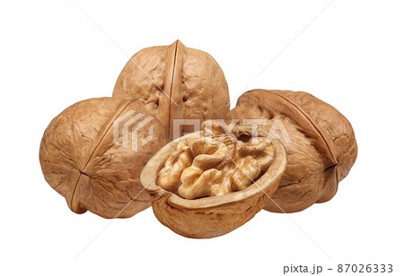 胡桃 くるみ クルミ イラスト リアル セットのイラスト素材