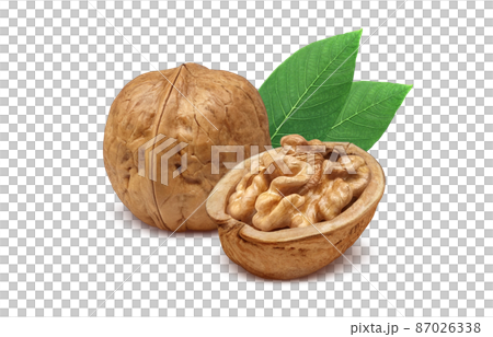 Walnut walnut walnut illustration real set Walnut walnut walnut illustration real set 87026338