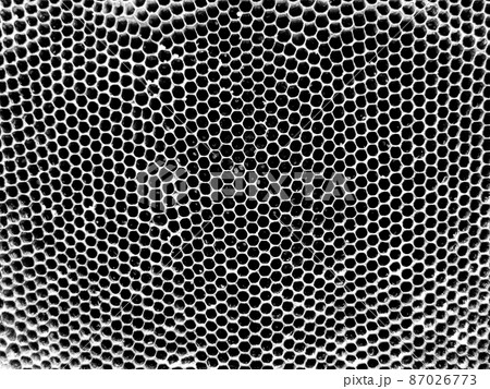 Abstract hexagon structure is honeycomb from bee hive Abstract hexagon structure is honeycomb from bee hive 87026773