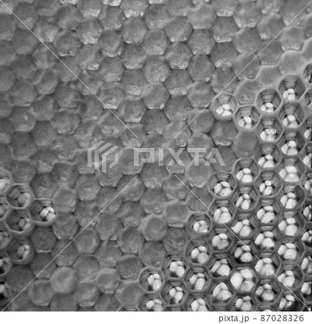 Drop of bee honey drip from hexagonal honeycombs Drop of bee honey drip from hexagonal honeycombs 87028326