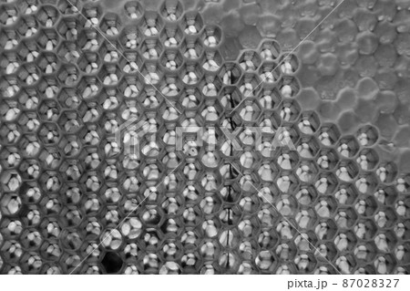 Drop of bee honey drip from hexagonal honeycombs Drop of bee honey drip from hexagonal honeycombs 87028327