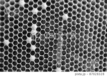 Drop of bee honey drip from hexagonal honeycombs 87028328