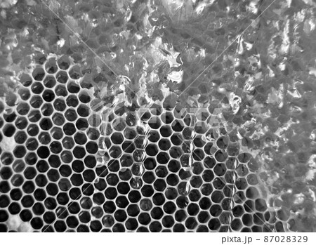 Drop of bee honey drip from hexagonal honeycombs Drop of bee honey drip from hexagonal honeycombs 87028329