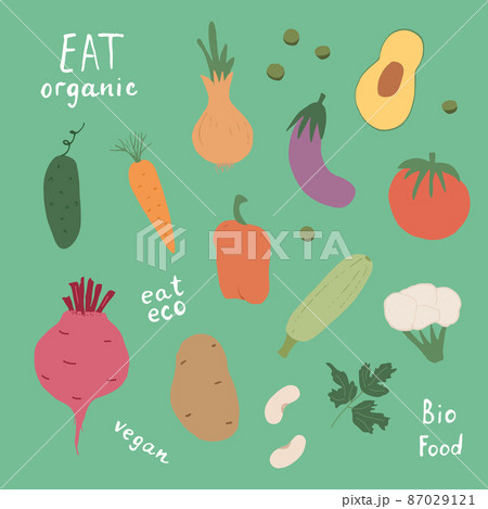 Vegetables seamless pattern. Vegetarian healthy bio food background, Vegan organic eco products pepper, tomato, cucumber, carrot, potato, avocado, beans and peas. Vector illustration 87029121
