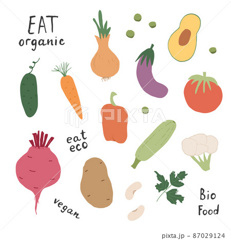 Vegetables seamless pattern. Vegetarian healthy bio food background, Vegan organic eco products pepper, tomato, cucumber, carrot, potato, avocado, beans and peas. Vector illustration Vegetables seamless pattern. Vegetarian healthy bio food background, Vegan organic eco products pepper, tomato, cucumber, carrot, potato, avocado, beans and peas. Vector illustration 87029124