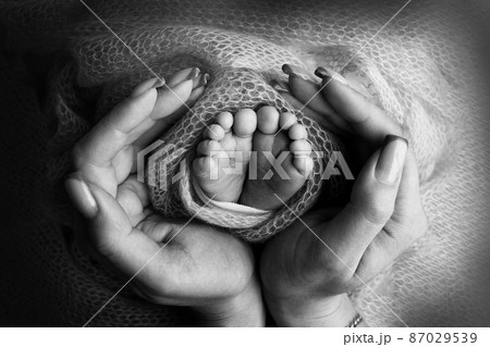 Newborn baby feet in mother's hands. Mom and her child. The parent holds the legs of a newborn child in his hands. Happy family and motherhood concept. Professional macro close-up. Black and white. 87029539