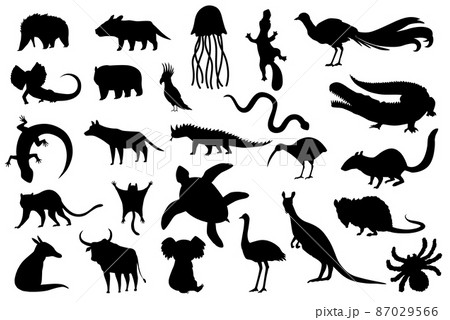 Silhouette animals of australia. Nature fauna collection. Geographical local fauna. Mammals living on continent. Vector illustration Silhouette animals of australia. Nature fauna collection. Geographical local fauna. Mammals living on continent. Vector illustration 87029566