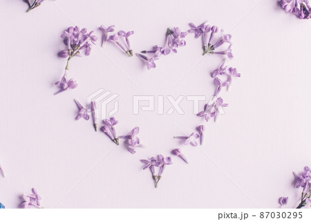 Spring flowers. Lilac flowers petals on white wooden background. Top view, flat lay Spring flowers. Lilac flowers petals on white wooden background. Top view, flat lay 87030295
