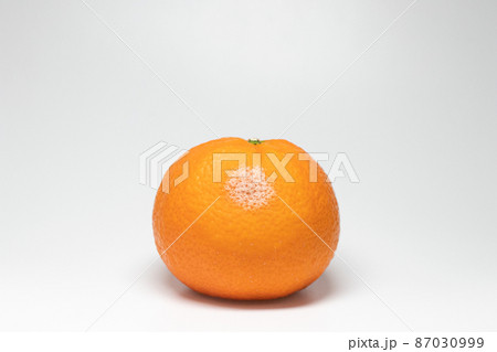 カンキツ緑かび病　みかんに感染したペニシリウム (Penicillium digitatum) 87030999