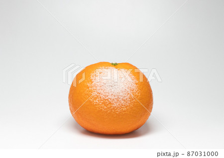 カンキツ緑かび病　みかんに感染したペニシリウム (Penicillium digitatum) 87031000