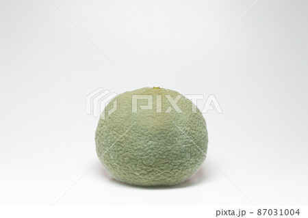 カンキツ緑かび病　みかんに感染したペニシリウム (Penicillium digitatum) 87031004