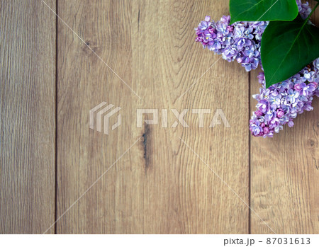 Lilac branch on beautiful wooden table. Concept. Beautiful background, copy space. 87031613
