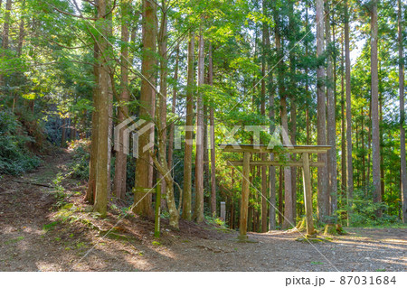 発心門王子周辺の風景 発心門王子周辺の風景 87031684