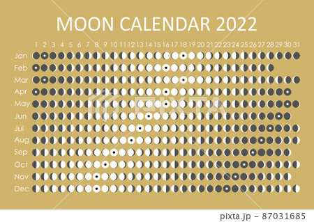 2022 Moon calendar. Astrological calendar design. planner. Place for stickers. Month cycle planner mockup. Isolated black and white background 2022 Moon calendar. Astrological calendar design. planner. Place for stickers. Month cycle planner mockup. Isolated black and white background 87031685