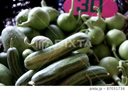 Muskmelon"s fruits. Muskmelon"s fruits. 87031736