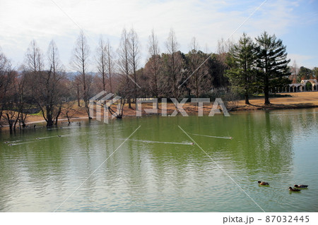 冬の公園 87032445