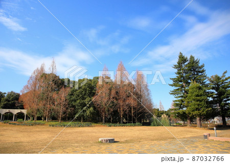 冬の公園 87032766