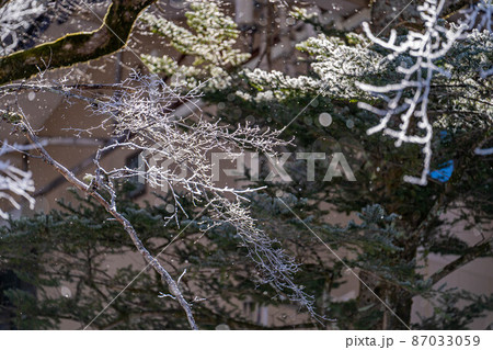 冬の上高地の風景　霧氷と青空【長野県】 87033059