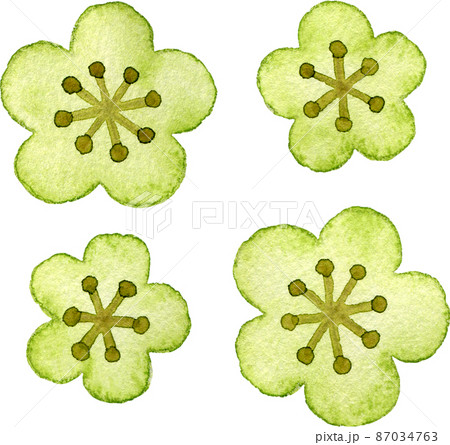 梅の花のイラスト 緑 のイラスト素材